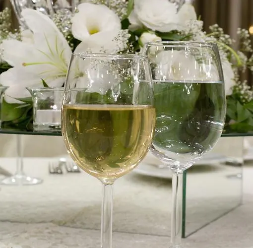 安卡拉农场费内巴切体育俱乐部酒店 酒店 Golbası